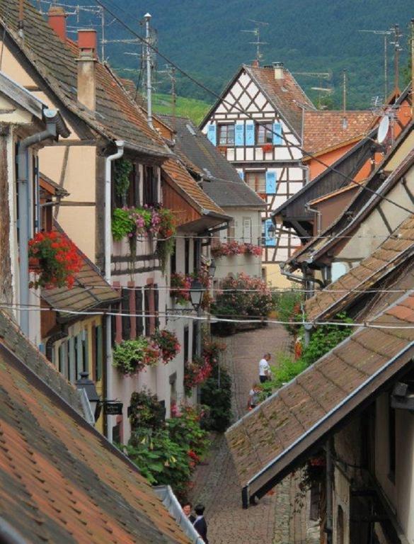 Gite Au Coeur D'Eguisheim Habitación foto